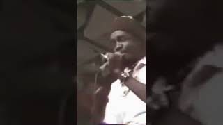 Peter Tosh  400 Years Live 🇯🇲🌴🇯🇲 shorts wailers tosh [upl. by Kaule]