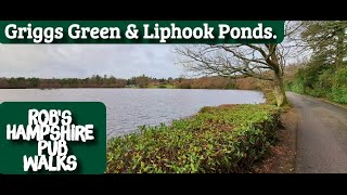 82 Robs Hampshire Pub Walks Griggs Green amp Liphook Ponds [upl. by Pennebaker449]