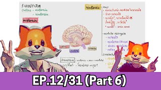 EP1231  ระบบประสาท Part 5  สอวน ชีววิทยา 2025 [upl. by Noryk]