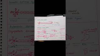 pharmacology bpharma humanbodysystem science viralshorts trending subscribe notes pharmacy [upl. by Jarad]