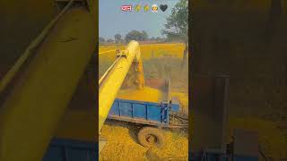 PREET combined harvester lover support Karenviralvideo vidio combine lover harvestar lover 🌾👳🖤 [upl. by Peppy]