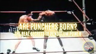 Are Punchers Born or Can They be Taught  How Power punching will become a Childs Play Thing [upl. by Ahterahs723]