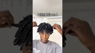 How To Do Two Strand Twists howtogrownaturalhair haircare howtostylenaturalhair shorts [upl. by Rebeh239]