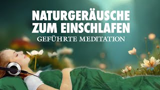 Einschlafen mit Naturgeräuschen  Geführte Meditation zum Einschlafen [upl. by Halsey]