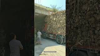 Process Of The Truck Loaded With Wood Passing Through The Bridge Opening [upl. by Akimas]