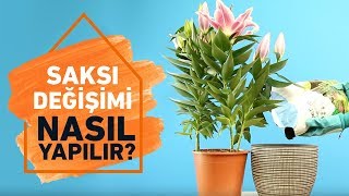 Çiçeklerde Saksı ve Toprak Değişimi Pratik Çözümler  Koçtaş ile Nasıl Yapılır [upl. by Ludlow]