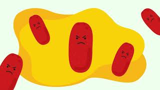 TB Scan Ethambutol Hydrochloride [upl. by Nosirb]