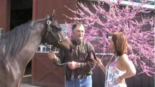 Peter Stachowski talks with Chris St Cyr about his Arabian horse training farm in Mantua Ohio [upl. by Razal102]