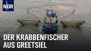 Knochenjob auf dem Krabbenkutter  Die Nordreportage  NDR Doku [upl. by Tonye]