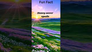 FunfactshortsFunfactsubscribe [upl. by Francesca]