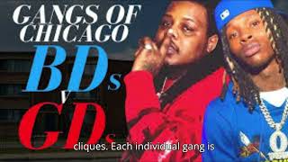 The Evolution of Gang Culture in Chicago From Past to Present [upl. by Ebby428]