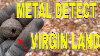 Metal Detecting RARE Virgin Land in NYC [upl. by Yrrek]