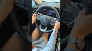 Lexus NX 250 ASMR LexusNX Lexus NX NX250 [upl. by Aneek]