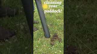 Best Paddock Cleaner for Quick Manure Collection Short Video [upl. by Wahkuna]