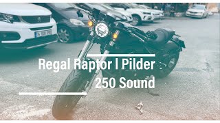 Regal Raptor Pilder 250 Sound l Custom [upl. by Nomaid]