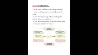 Homeostasis 📝 trending mbbslife physiology shorts medicalconcepts28 [upl. by Tena]