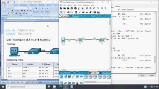 346 Lab  Configure VLANs and Trunking [upl. by Odnama]