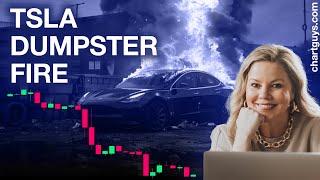 TSLA Dumpster Fire [upl. by Lennie]