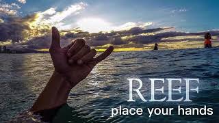 Reef  Place Your Hands [upl. by Deehan]