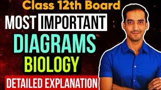 Most Important Diagrams 🔥  Class 12 Biology 🔥  Boards 2024  Sourabh Raina [upl. by Howzell]