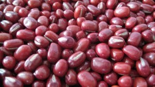 Boiled Adzuki Beans  Nutritional Information [upl. by Anoek812]