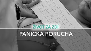 28 DÍL PANICKÁ PORUCHA PŘÍČINY PROJEVY A ZVLÁDÁNÍ [upl. by Di881]