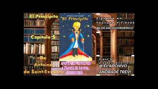 El principito  Audiolibro  Capitulo 6 [upl. by Ognimod424]