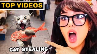 Caught in 4K Epic Fails and Funny Moments  SSSniperWolf [upl. by Ardnnek545]