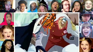 Shanks stops the war Reaction Mashup  One Piece episode 488 Reaction Mashup [upl. by Karlene]