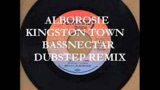 Alborosie  Kingston Town  Bassnectar dubstep remix [upl. by Ynnij]