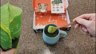 Ryze Mushroom Matcha Review [upl. by Stavro]