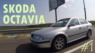 SKODA OCTAVIA I Немецкая надежность в наших реалиях [upl. by Gaston635]