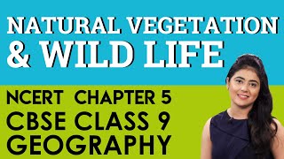 Chapter 5 Natural Vegetation and Wildlife Geography CBSE NCERT Class 9 [upl. by Ym575]