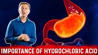 The Importance of Hydrochloric acid HCL in the Stomach – Dr Berg [upl. by Htiekel]