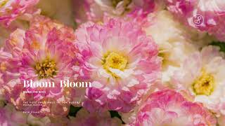 더보이즈 THE BOYZ  Bloom Bloom Piano Cover 피아노 커버 [upl. by Naliorf]