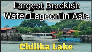 2nd Largest Lake  Chilika Lake  Odisha Tourism [upl. by Whitson]