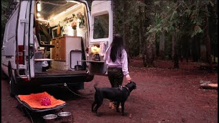 Solo Van Camping in the Peaceful Woods RelaxingOregon [upl. by Gemmell597]