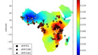 Prevalence of antimalarial drug resistance markers dhfr gene for sulphadoxine pyrimethamine [upl. by Meid]