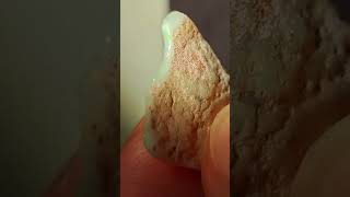 Opale Bianco Coober Pedy Torino 2024 danieleprospector opal opale [upl. by Dugaid582]