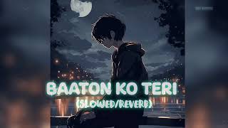 BAATON KO TeRislowedreverb [upl. by Nnagrom]