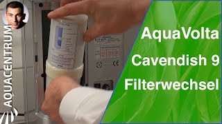 Auftisch Wasserionisierer  AquaVolta Cavendish 9  Wasserfilter wechseln wie und wie oft [upl. by Anwahs]