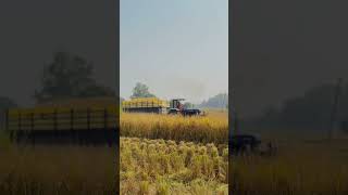 Farmtrac 6055 tractor trali tralabhinderfarmertv viralvideo viralshort trending trendingshorts [upl. by Nnylahs557]