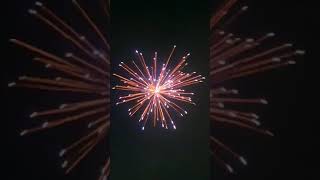 Neela Angels sky shot  Sonny fireworks  Diwali 2024 [upl. by Enaffit]