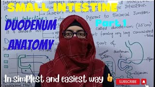 Duodenum Anatomy  Parts of Duodenum  small Intestine  part 1  ayeshamedicaleducation [upl. by Turrell]