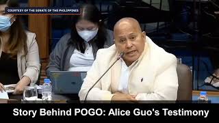 The Real Story Behind POGO Alice Guos Testimony and the Controversial Senate Hearing Fashion Pulis [upl. by Anelam761]