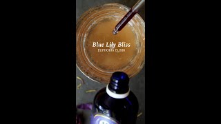 Blue Lily Bliss Euphoria Elixir Recipe [upl. by Ainat]