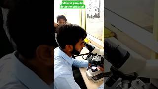 Plasmodium parasite  gametocyte stage malaria parasiteshorts trendingshorts by Akhilesh sir [upl. by Nuawaj]