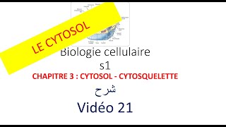 biologie cellulaire s1 vidéo 021  CYTOSOL  CYTOSQUELETTE شرح [upl. by Cressi946]