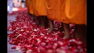 Poderosos Cuencos Tibetanos para Limpiar y Activar los Siete Chakras😍😴💪🙏🍀🌞 [upl. by Anniala]