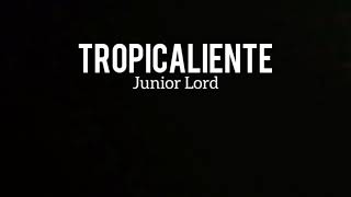 Tropicaliente  Junior Lord  Coreografia [upl. by Ahoufe427]